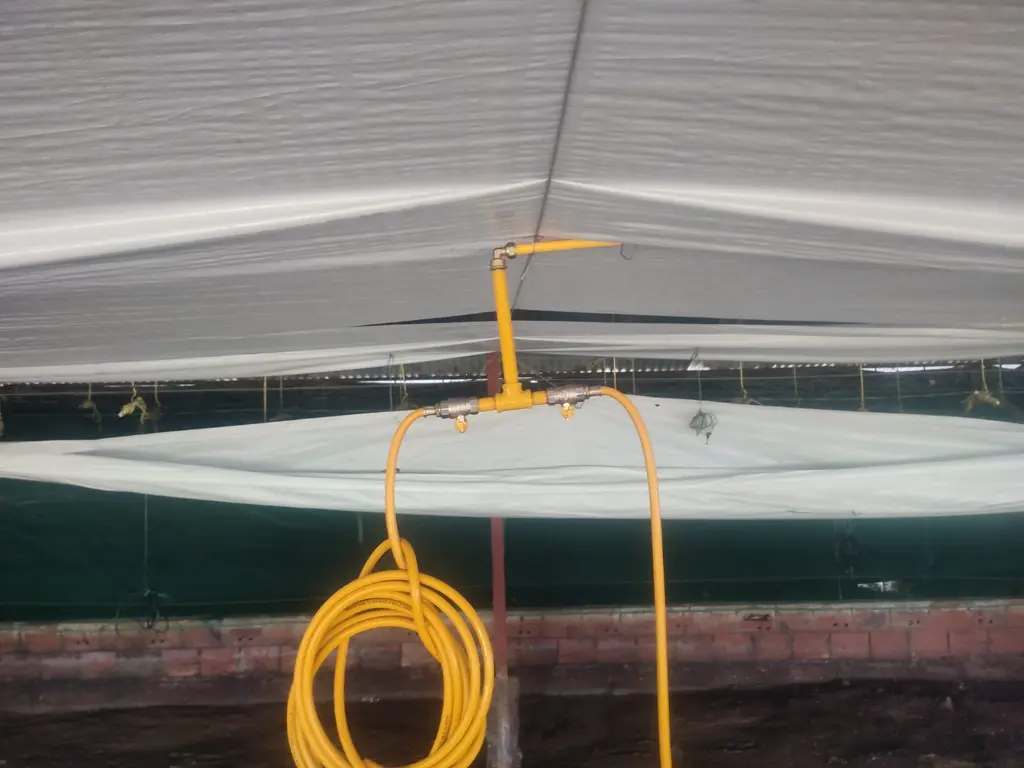 WhatsApp Image 2025-09-01 at 6.00.46 PM (1).webp