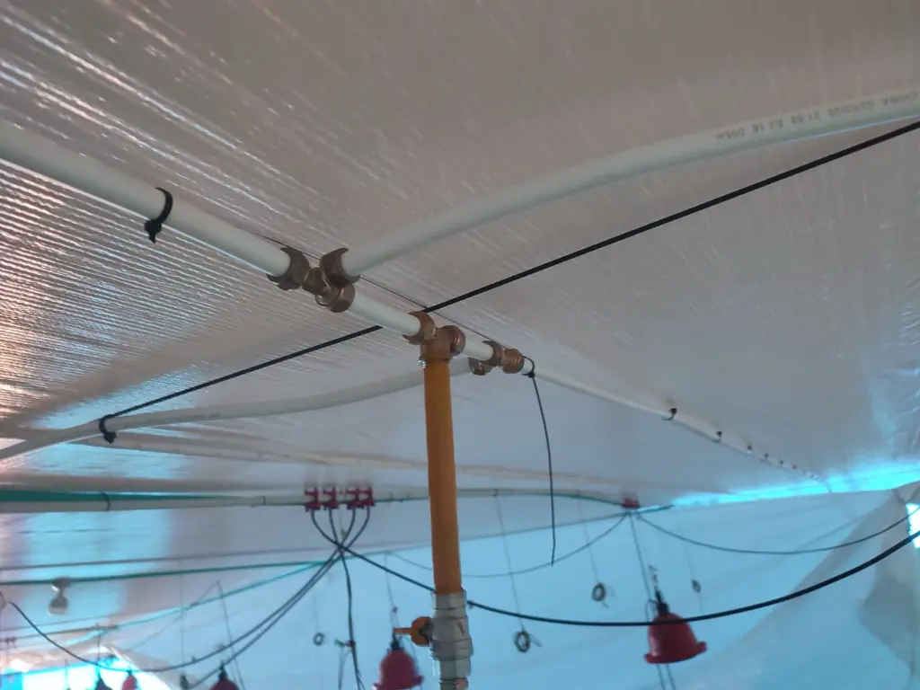 WhatsApp Image 2025-09-01 at 6.01.46 PM.webp