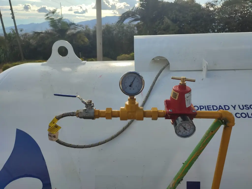 WhatsApp Image 2025-09-01 at 6.01.11 PM.webp