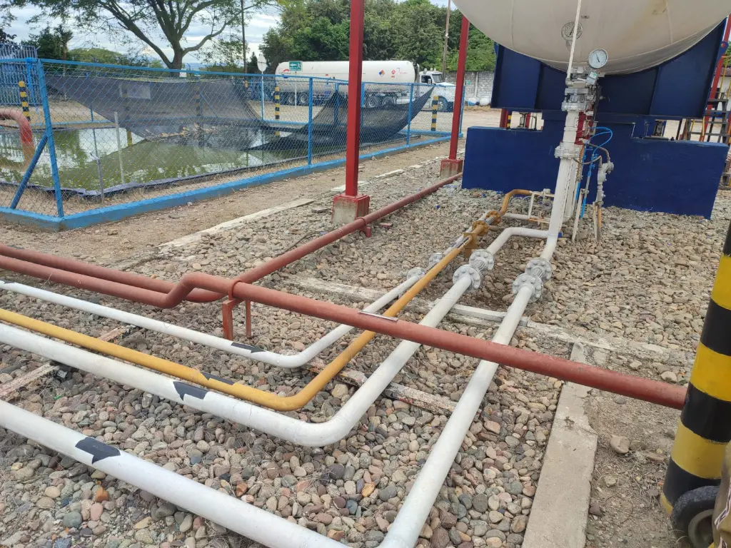 WhatsApp Image 2025-09-01 at 5.46.13 PM (3).webp