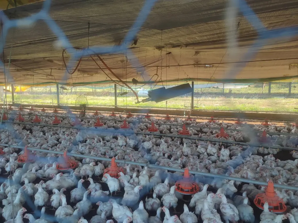 WhatsApp Image 2025-09-01 at 6.00.46 PM.webp