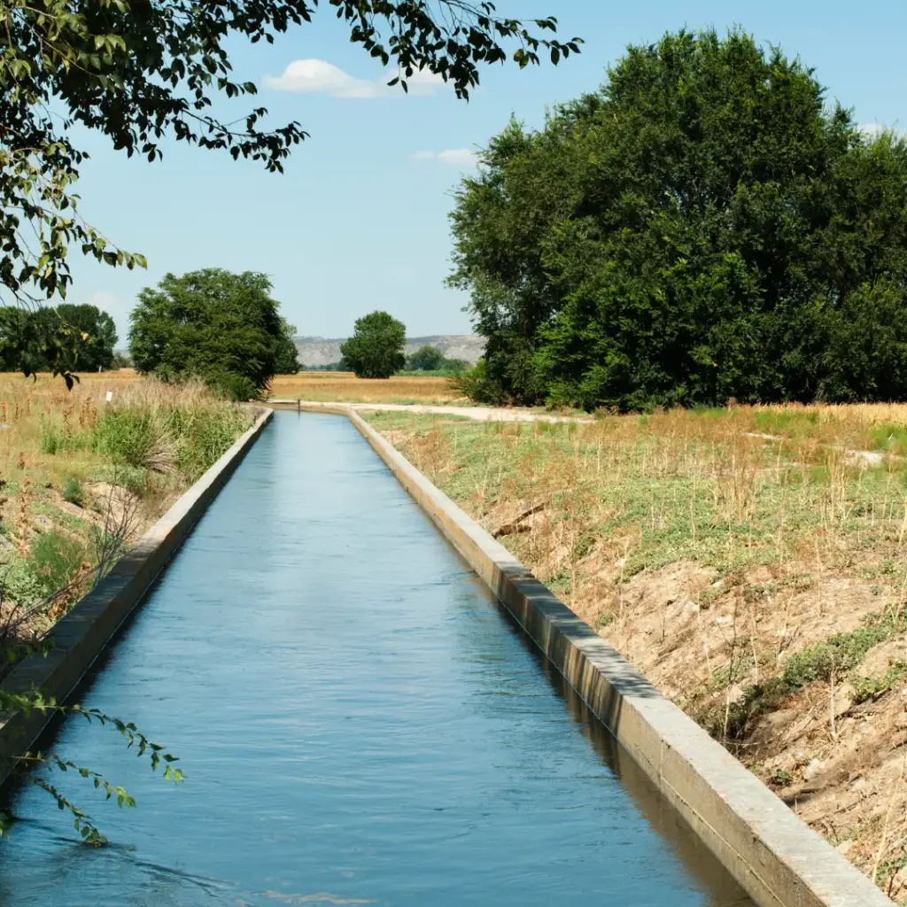 Construcción y Limpieza de Canales